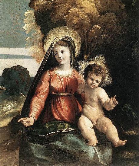Dosso Dossi Madonna and Child Norge oil painting art